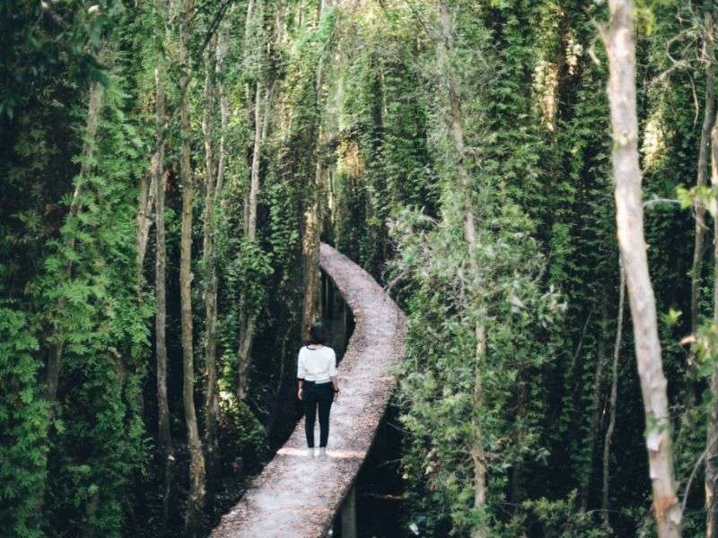 rừng vàm sát cần giờ 