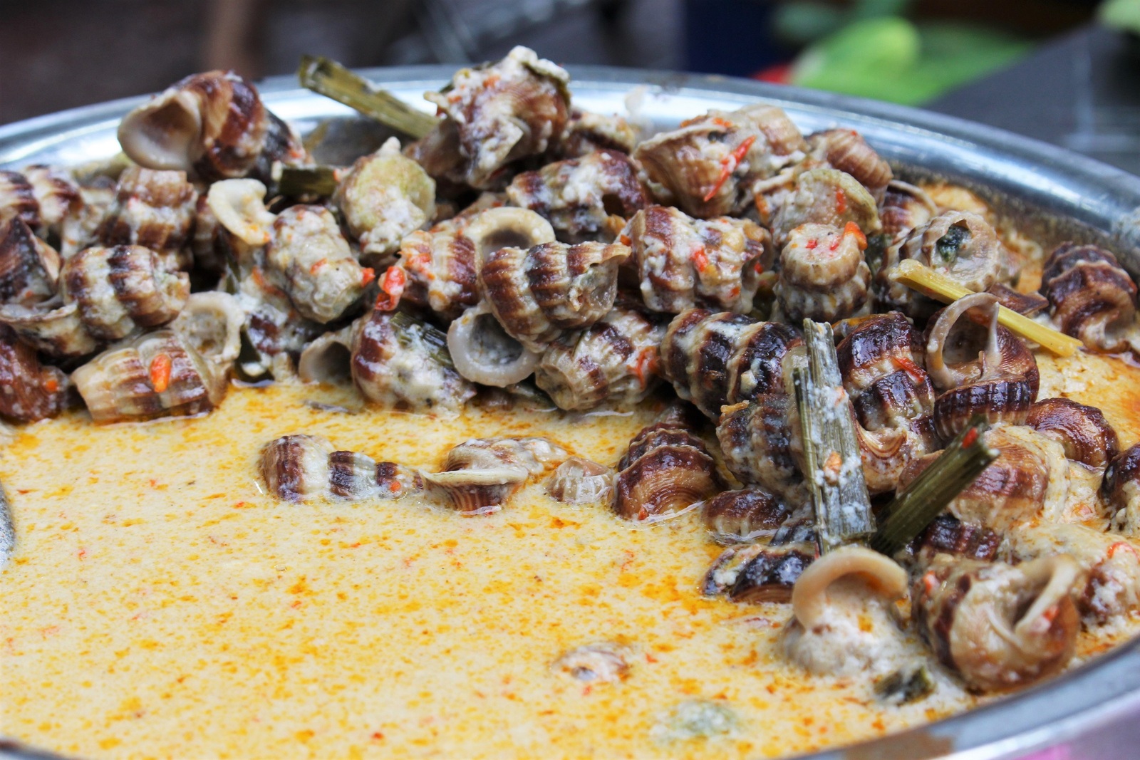 Ốc len xào dừa. Ảnh: Huỳnh Nhi oc6-1138-1685002176.jpg